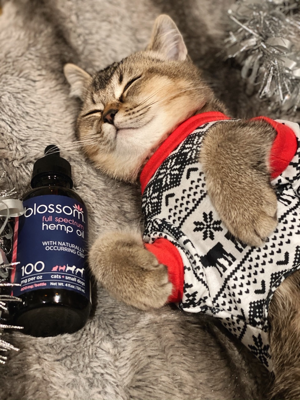 Earthly bully sticks product image